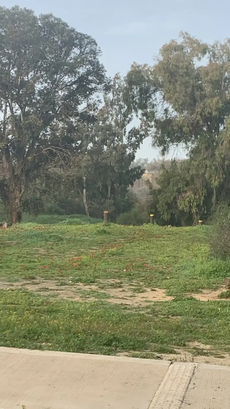 חוות רעים בחוות רעים לפידות — בילוי משפחתי עם ילדים