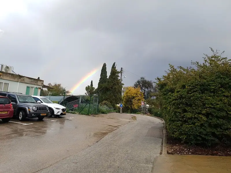 בריכת חורשים בחורשים
