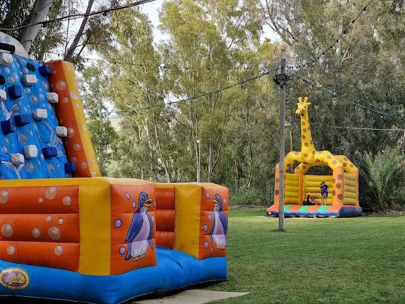 בצל התל - קמפינג שמשאיר טעם של עוד ביבנאל