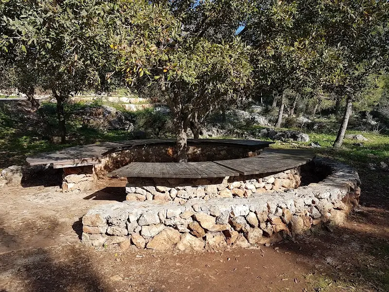 אליקים באליקים