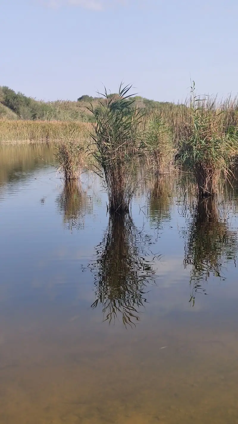 אגם ניצנים בניצנים — בילוי משפחתי עם ילדים