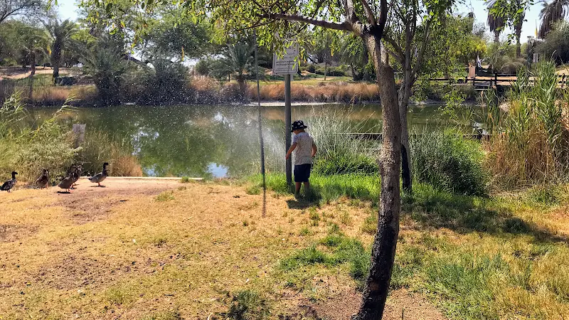 פארק ספיר בערבה — בילוי משפחתי עם ילדים