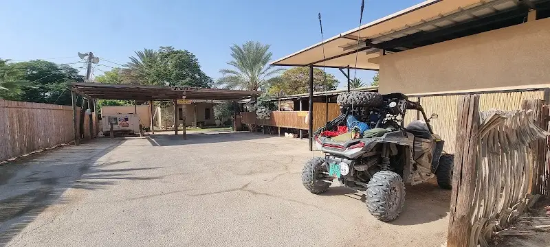 אורחן שבילים במדבר וראס השיטה בחצבה