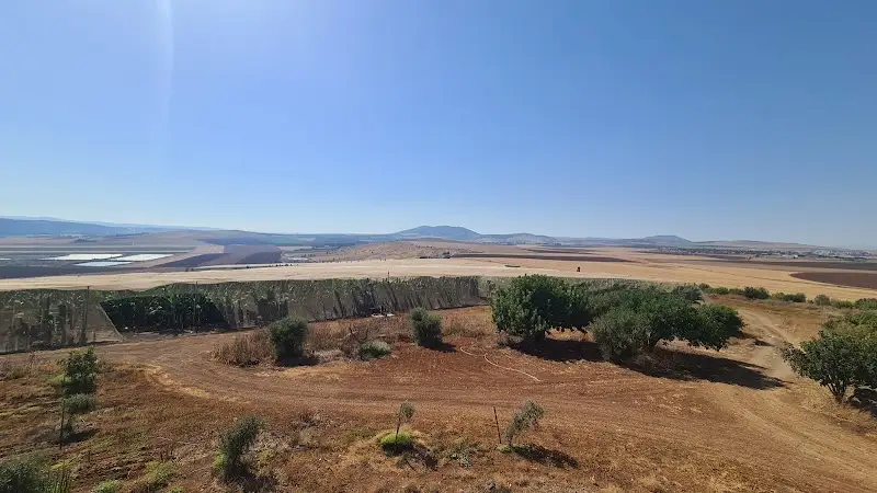 מצפה יוס ודוד במצפה יוס ודוד