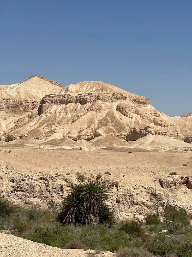 עין זיק בעין זיק