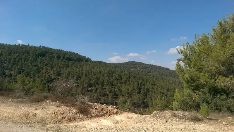 פארק בגין - עין קובי בעין קובי