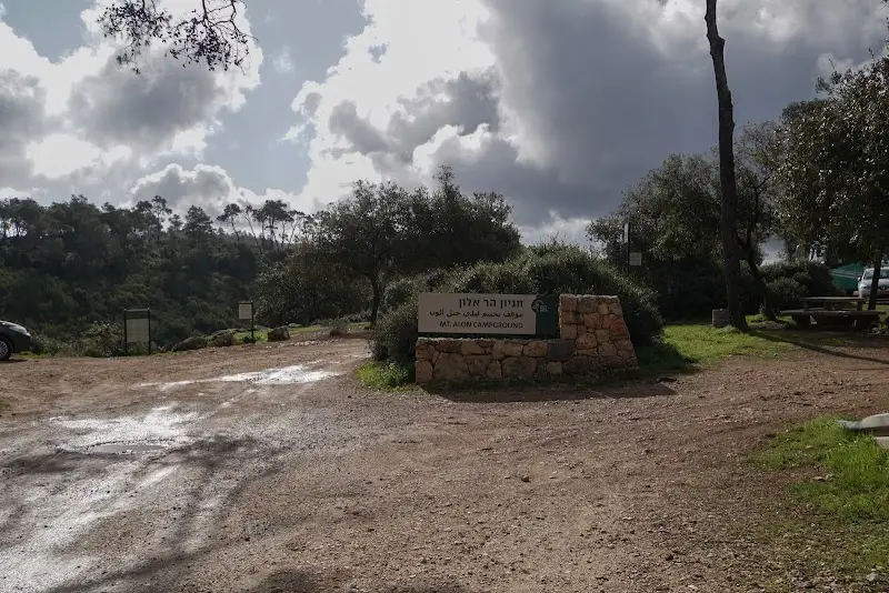 הר אלון בחיפה