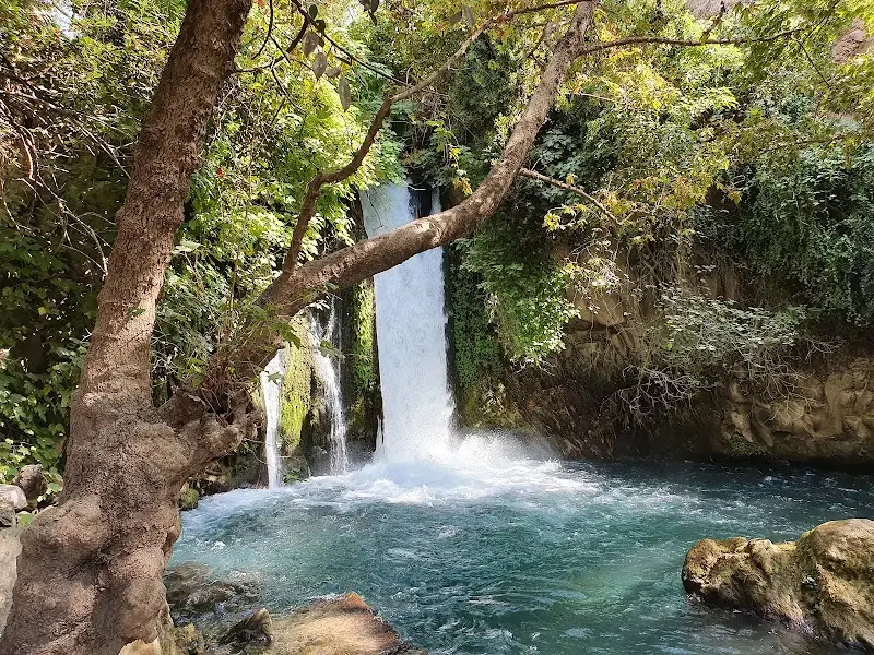 בניאס (שמורת טבע) ברמת הגולן — בילוי משפחתי עם ילדים
