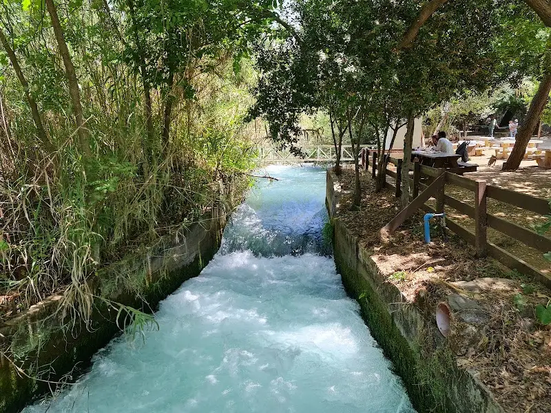 נחל דן באצבע הגליל — בילוי משפחתי עם ילדים