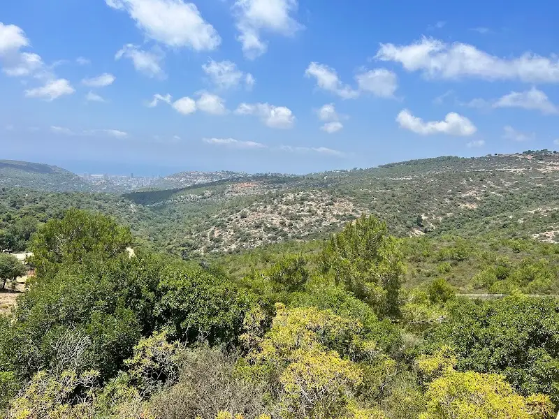 פארק הכרמל (חי-בר / חניון האגם) בהכרמל — בילוי משפחתי עם ילדים