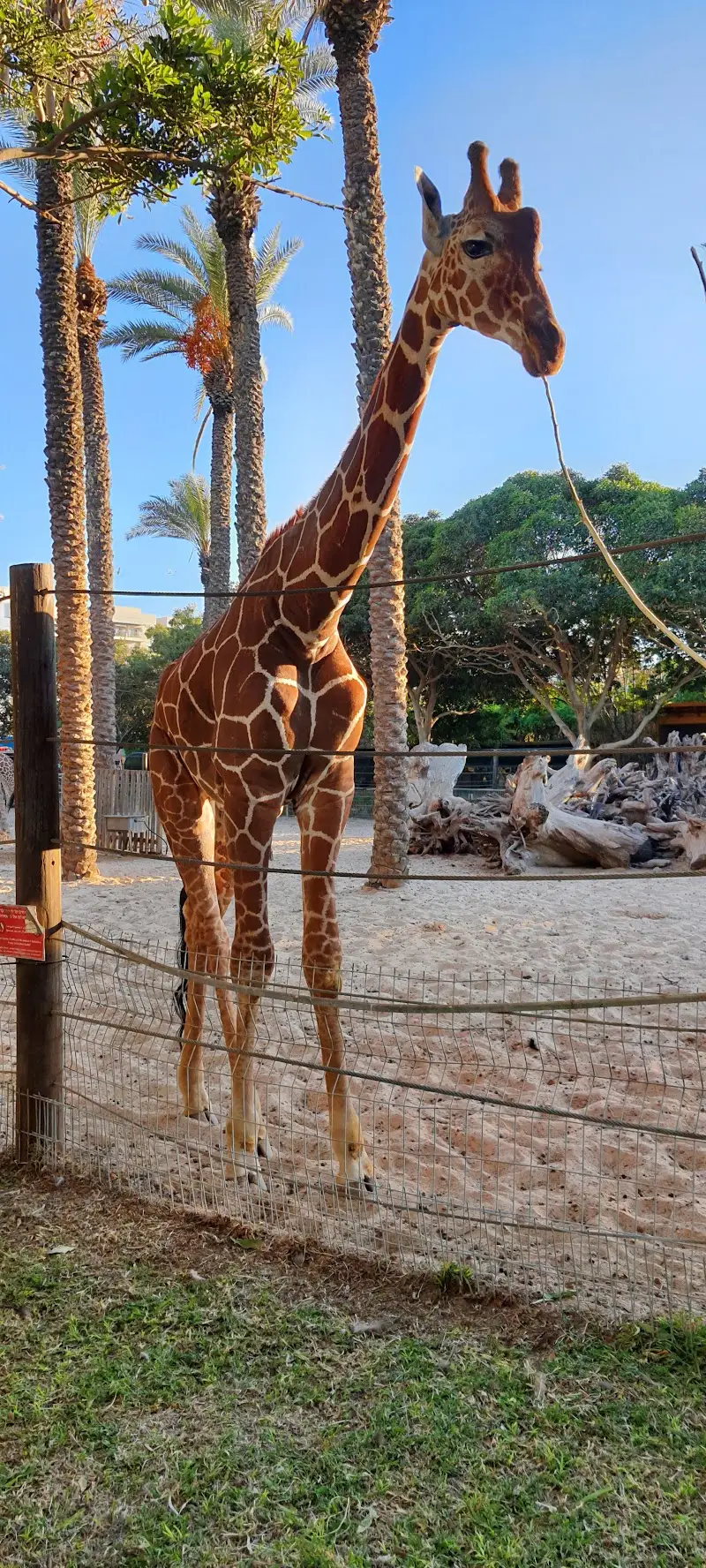 החי בפארק בקריית מוצקין — בילוי משפחתי עם ילדים