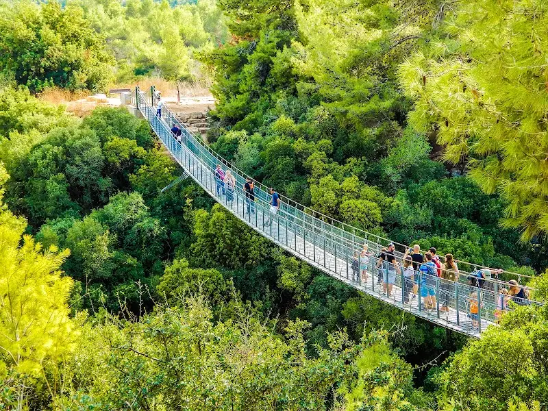 הגשר התלוי (פארק נשר) בנשר — בילוי משפחתי עם ילדים