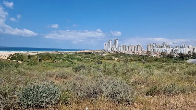 שמורת נחל פולג בהשרון — בילוי משפחתי עם ילדים