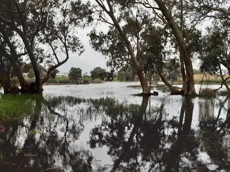 פארק השלולית בנתניה — בילוי משפחתי עם ילדים