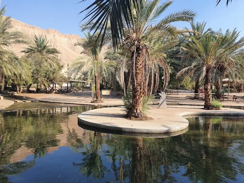 עין פשחה (עינות צוקים) בים המלח — בילוי משפחתי עם ילדים