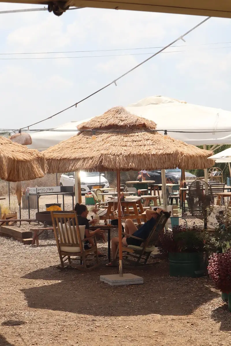 אוּדי ויָפ - עגלת קפה כפר רות בכפר רות — בילוי משפחתי עם ילדים