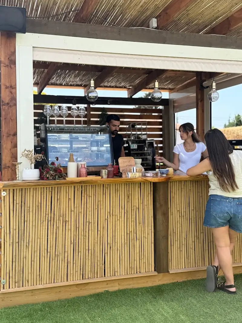 ברברה עגלת קפה בברכיה — בילוי משפחתי עם ילדים