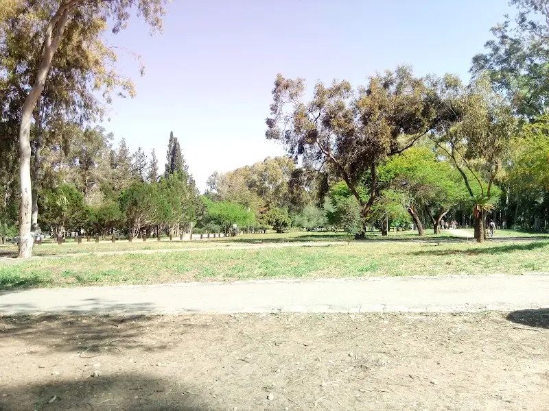 יער אילנות — בילוי משפחתי עם ילדים