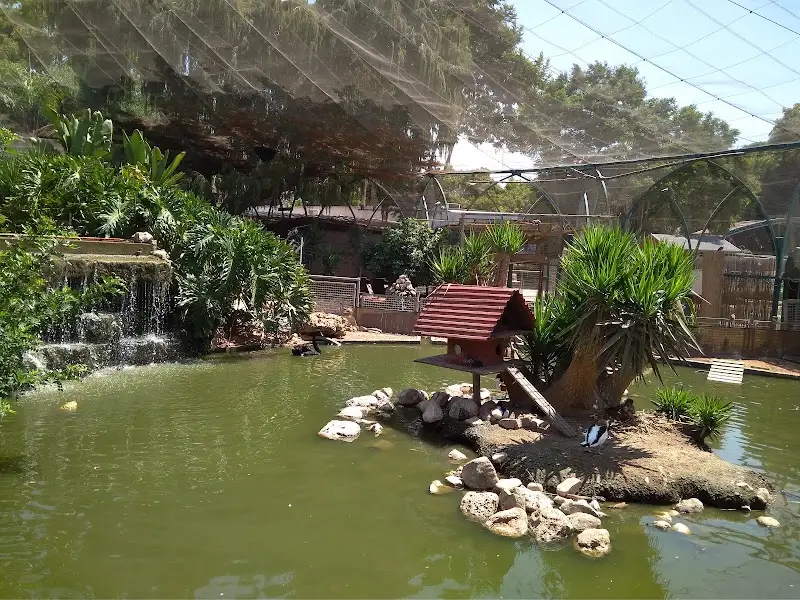 גן החי פתח תקווה בפתח תקווה — בילוי משפחתי עם ילדים