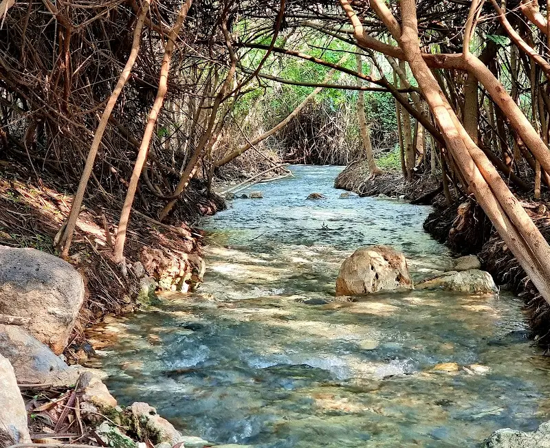 עין שוקק (השביל הרטוב) בפארק המעיינות — בילוי משפחתי עם ילדים