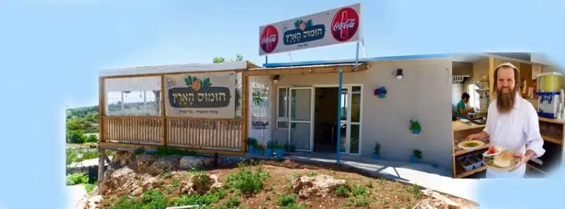 חומוס הארץ בכפר עציון — בילוי משפחתי עם ילדים