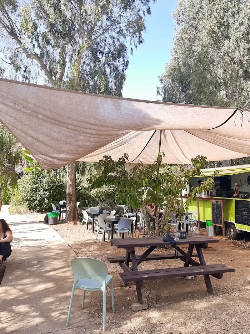 אלקע בר - ELKA BAR בעין זיוון — בילוי משפחתי עם ילדים
