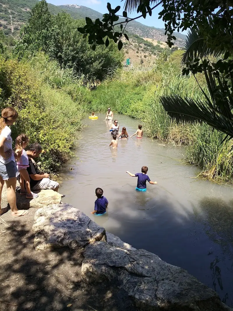 מעיין אלרואי בקרית טבעון — בילוי משפחתי עם ילדים