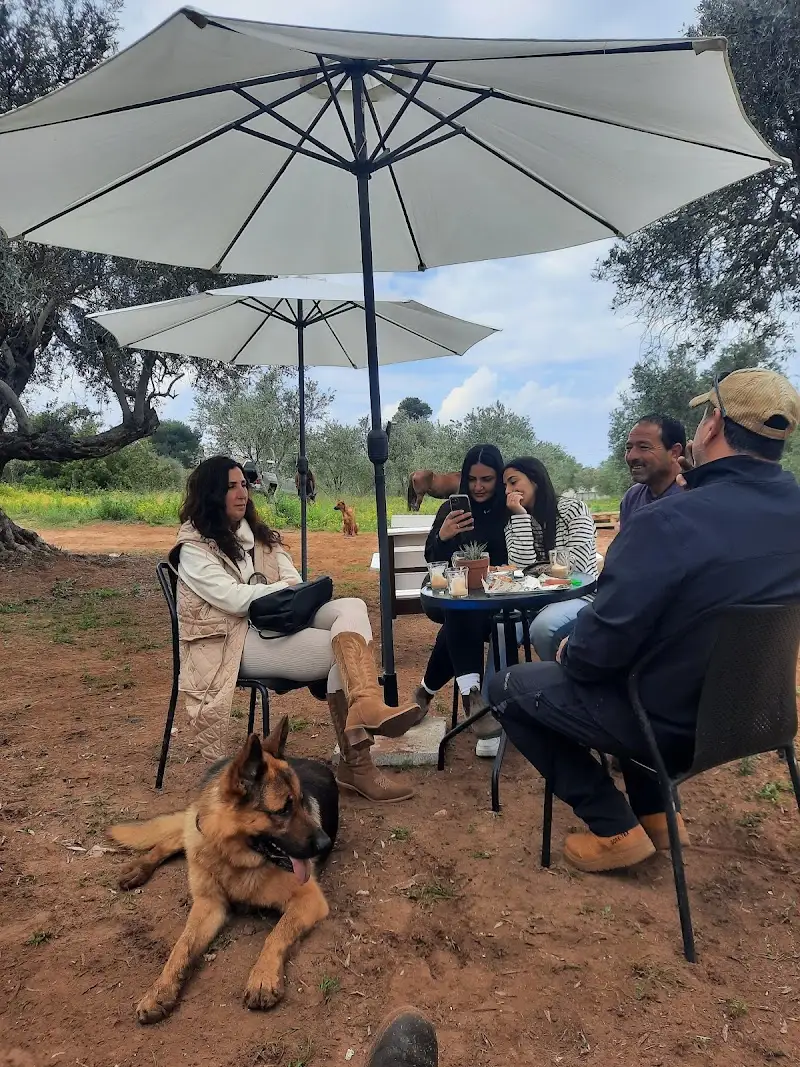 קפה לימן בהשקד — בילוי משפחתי עם ילדים