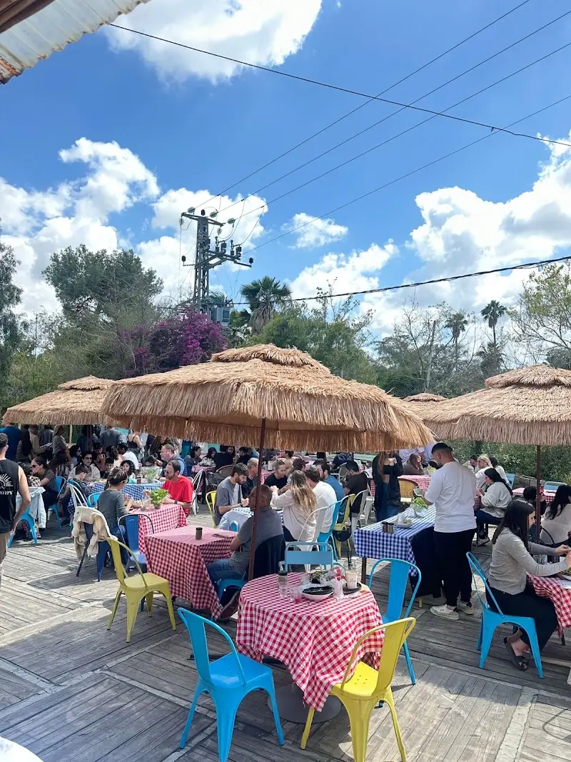החצר של נוני בבית נחמיה — בילוי משפחתי עם ילדים