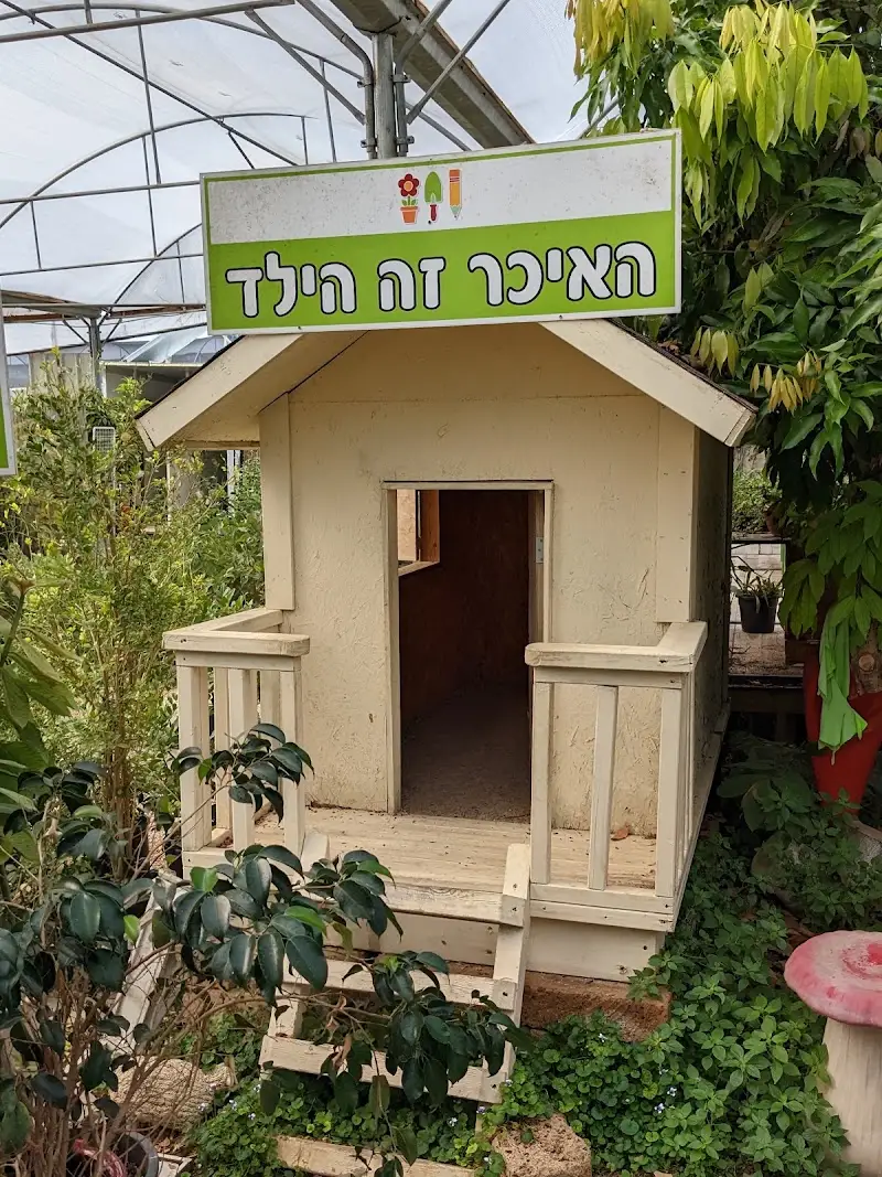 חדווה בגן משתלה וחווה אורגנית \ קפה ואוכל באבן יהודה — בילוי משפחתי עם ילדים