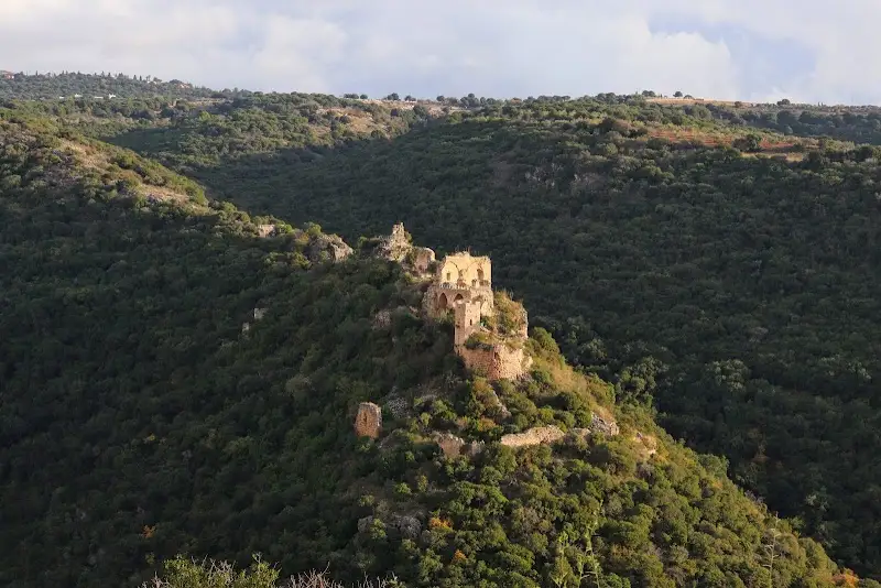 פארק גורן ביער גורן — בילוי משפחתי עם ילדים