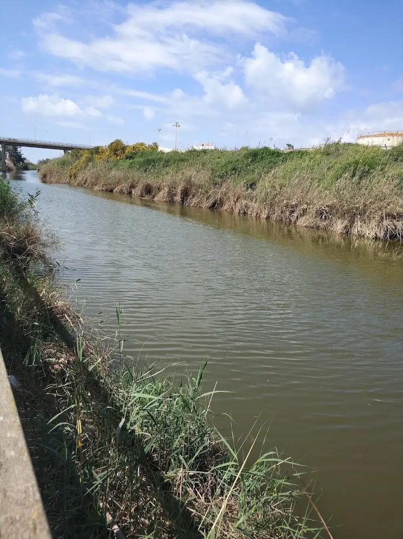 פארק נחל לכיש אשדוד באשדוד — בילוי משפחתי עם ילדים