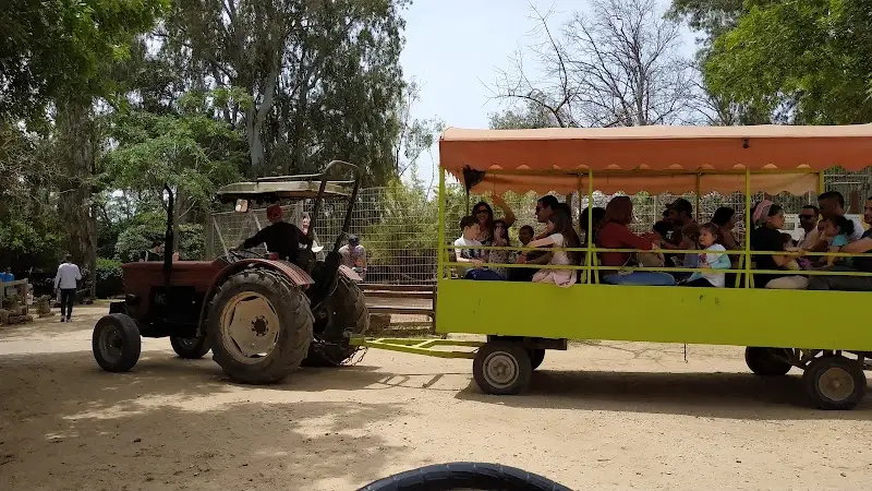 לגעת בחיות בגבעת חיים איחוד — בילוי משפחתי עם ילדים