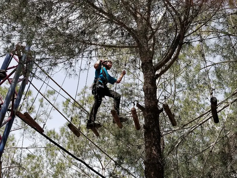 חוות ארץ האיילים בכפר עציון — בילוי משפחתי עם ילדים