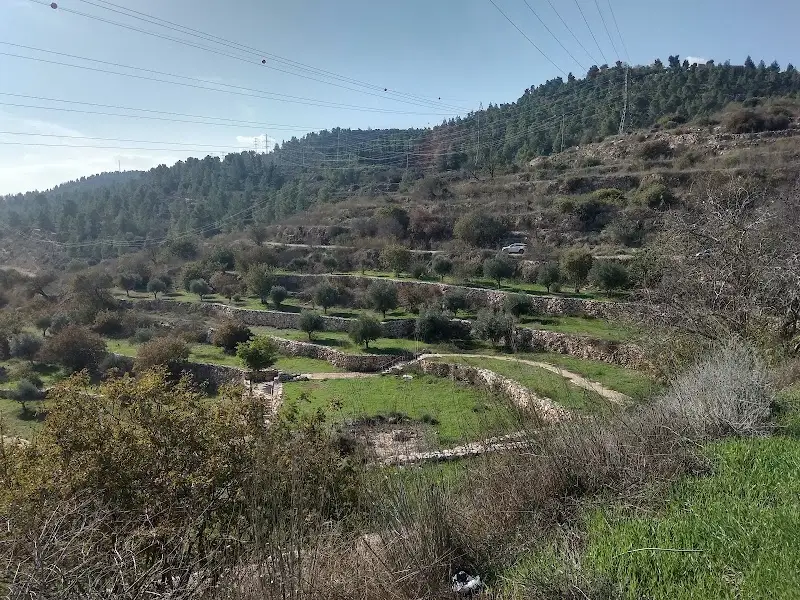 פארק ירושלים בירושלים — בילוי משפחתי עם ילדים