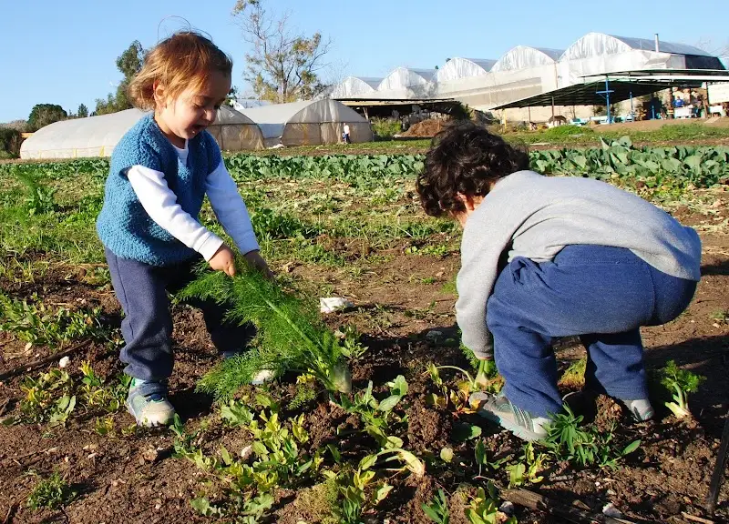 קטופותי בבית לחם הגלילית — בילוי משפחתי עם ילדים