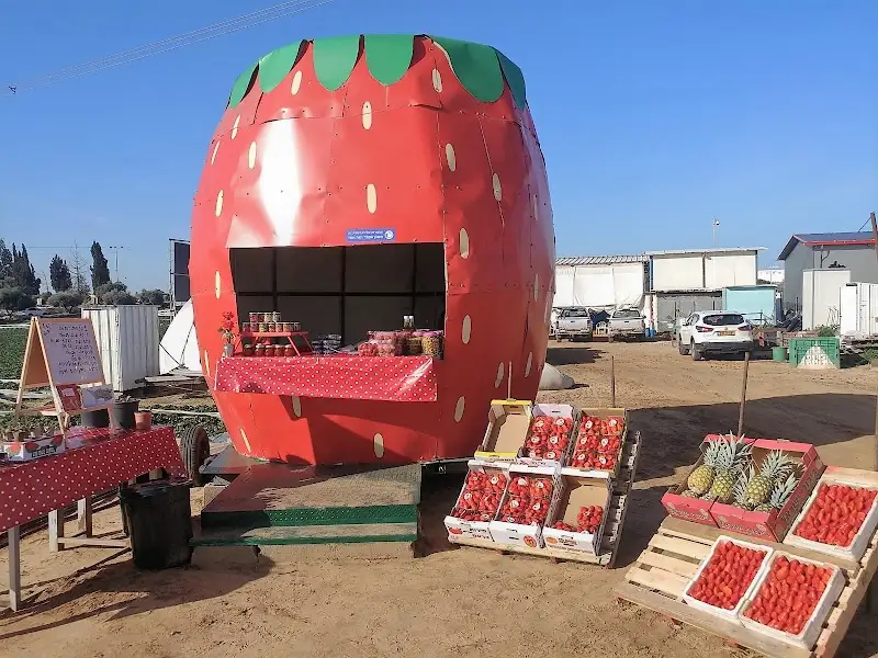 משק אקלר תות ועוד בקדימה צורן — בילוי משפחתי עם ילדים