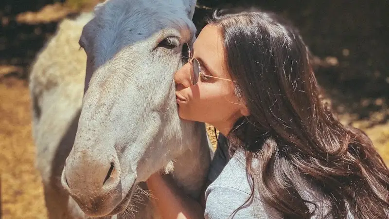 החווה ביער אודם ברמת הגולן אודם — בילוי משפחתי עם ילדים