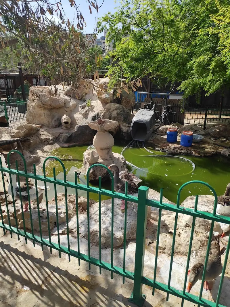 גן חי אלעד באלעד — בילוי משפחתי עם ילדים