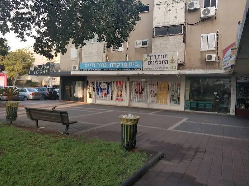 חוות דרך התבלינים קריות בחיפה — בילוי משפחתי עם ילדים