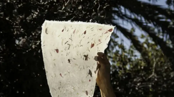 תות נייר Tut neyar hand made paper בזכרון יעקב — בילוי משפחתי עם ילדים