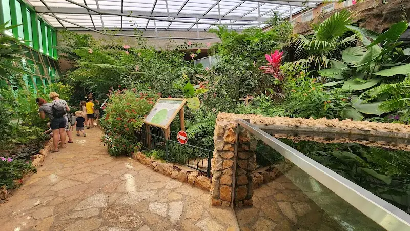 בית הפרפרים בירושלים — בילוי משפחתי עם ילדים