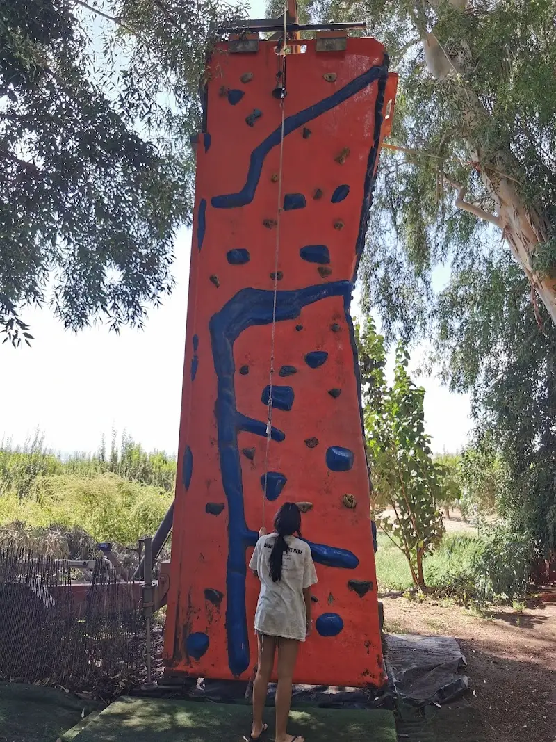 אינדי פארק ביסוד המעלה — בילוי משפחתי עם ילדים