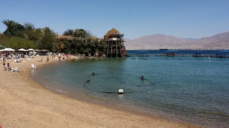 ריף הדולפינים באילת — בילוי משפחתי עם ילדים