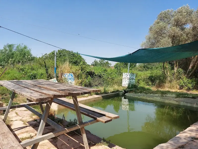 חוות עמק איילון במבוא חורון — בילוי משפחתי עם ילדים