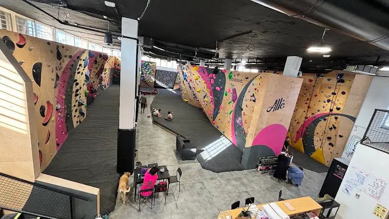 Alle Climbing Center - קיר הטיפוס של ירושלים בירושלים — בילוי משפחתי עם ילדים