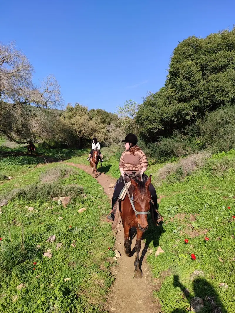 חווה באהבה על ראש הגבעה בעופר — בילוי משפחתי עם ילדים