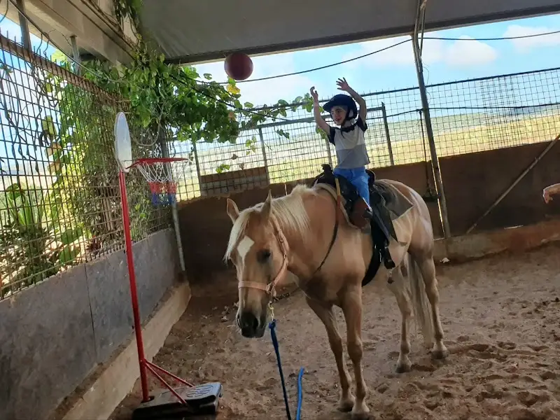 החווה של נוי במגדים — בילוי משפחתי עם ילדים